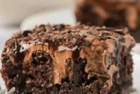 Decadent Chocolate Poke Cake