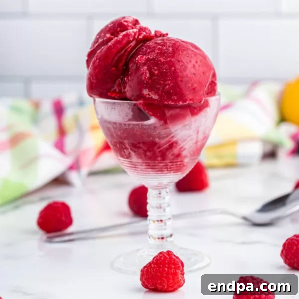 Tangy Raspberry Delight 1 featured 23270