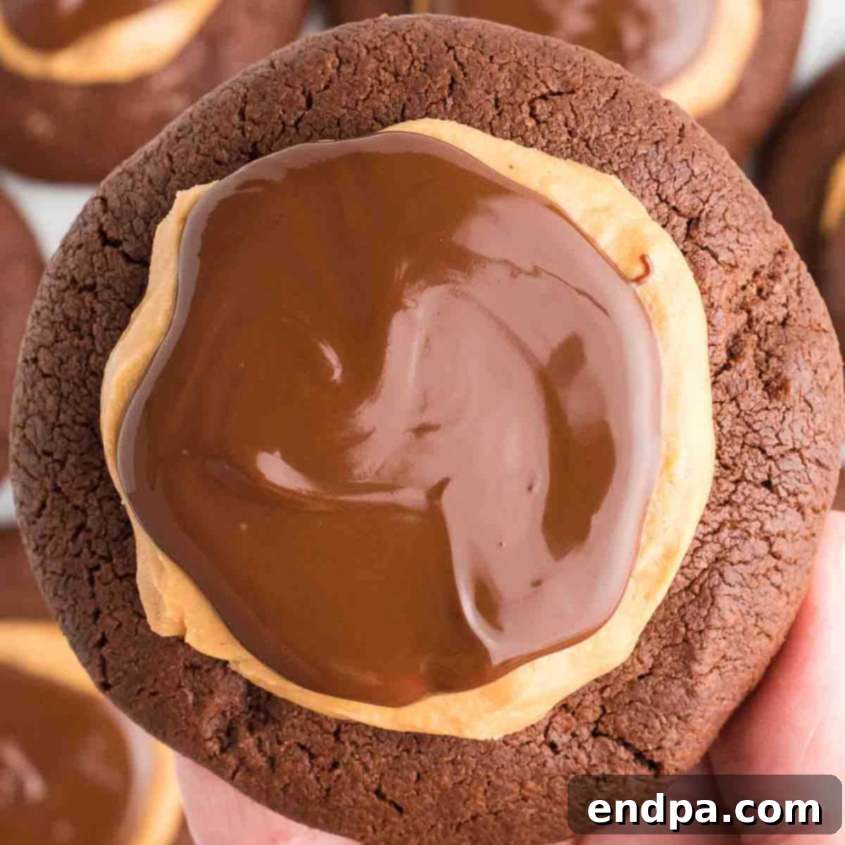 Crumbl Style Buckeye Brownie Cookies 1 featured 32075