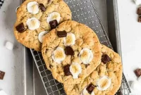 Campfire Smores Cookies