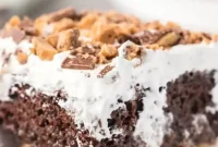 Heavenly Decadence Cake