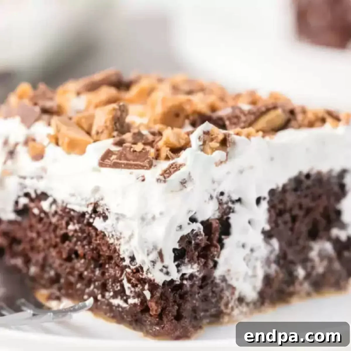 Heavenly Decadence Cake 1 featured 4388