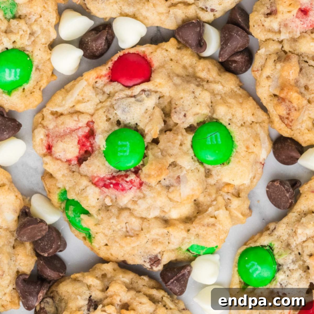 Festive Frontier Cookies 1 featured 46389