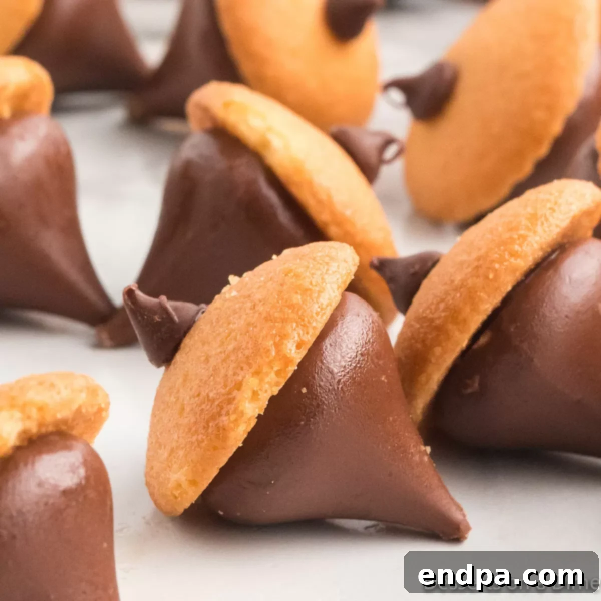 Acorn Chocolate Treasures 1 featured 50176