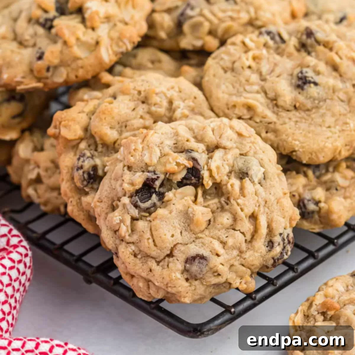 Classic Oatmeal Raisin Cookies 1 featured 5037
