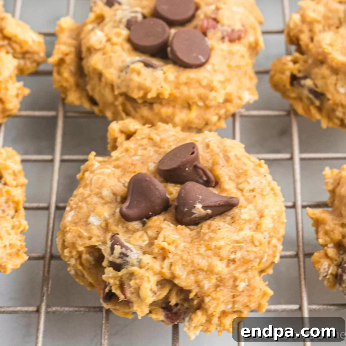 Golden Sweet Potato Cookies 1 featured 50816