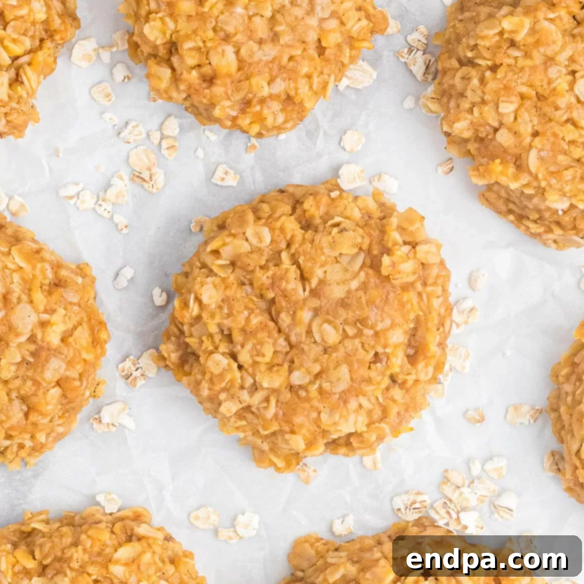 Autumn Pumpkin Spice Delights 1 featured 51471