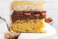 The Ultimate Atomic Cake