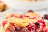 Festive Cranberry Cake Delight