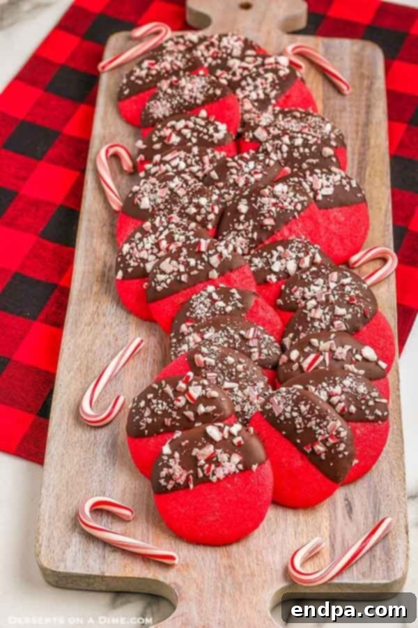 Dark Chocolate-Dipped Peppermint Cookie Delights 1 featured 7130