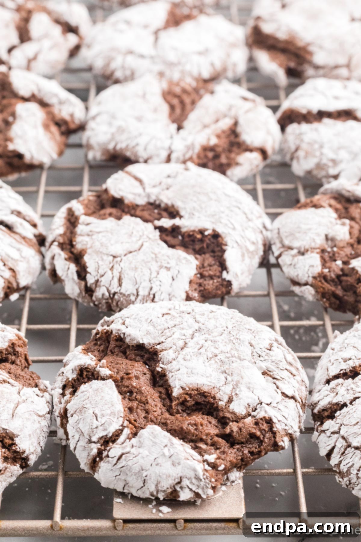 Cracked Cocoa Bliss 10 Chocolate Crinkle Cookies cooling on a wire rack.