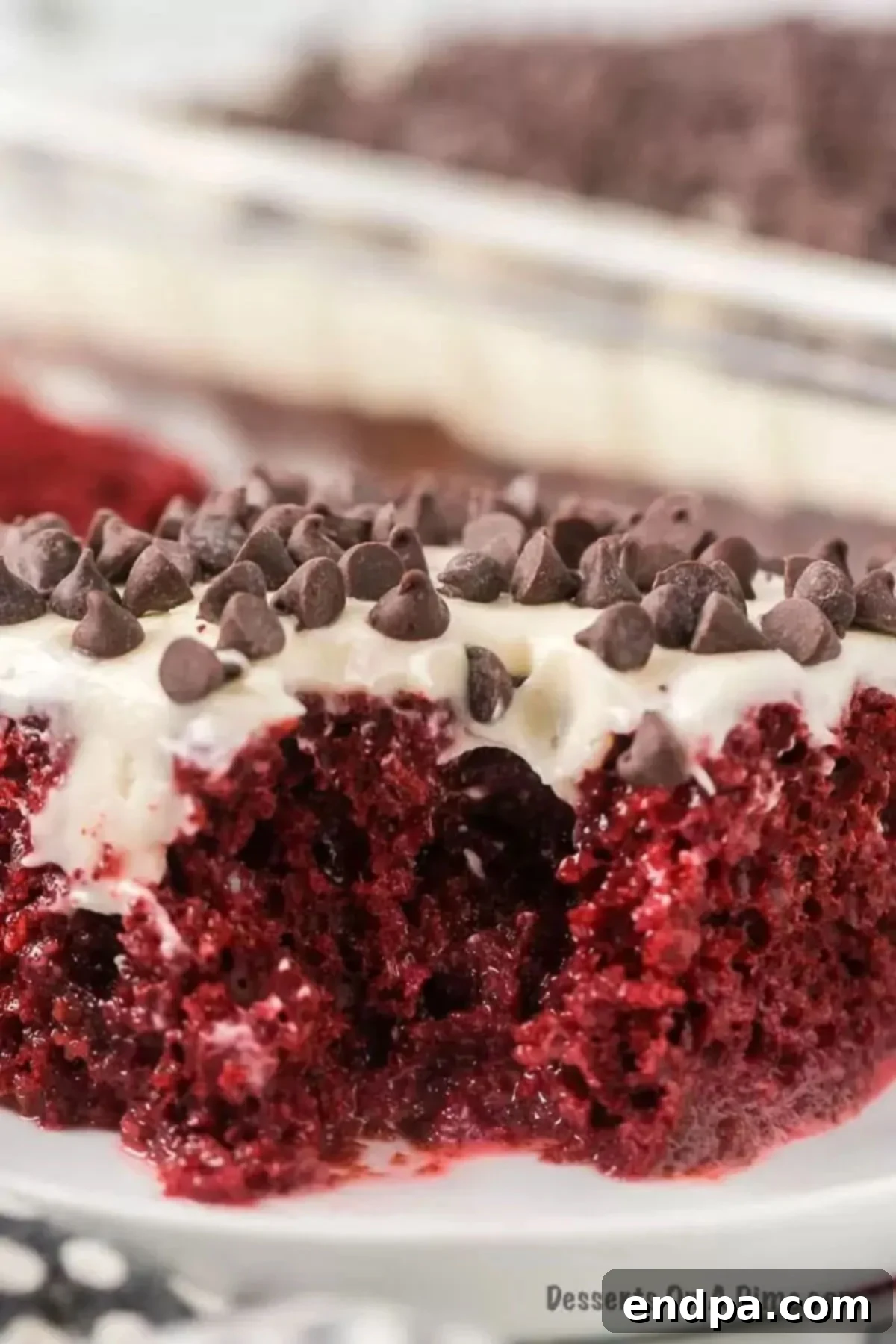 Red Velvet Infusion Cake 2 Slice of Red Velvet Poke Cake on a plate, showing its moist texture and creamy frosting.