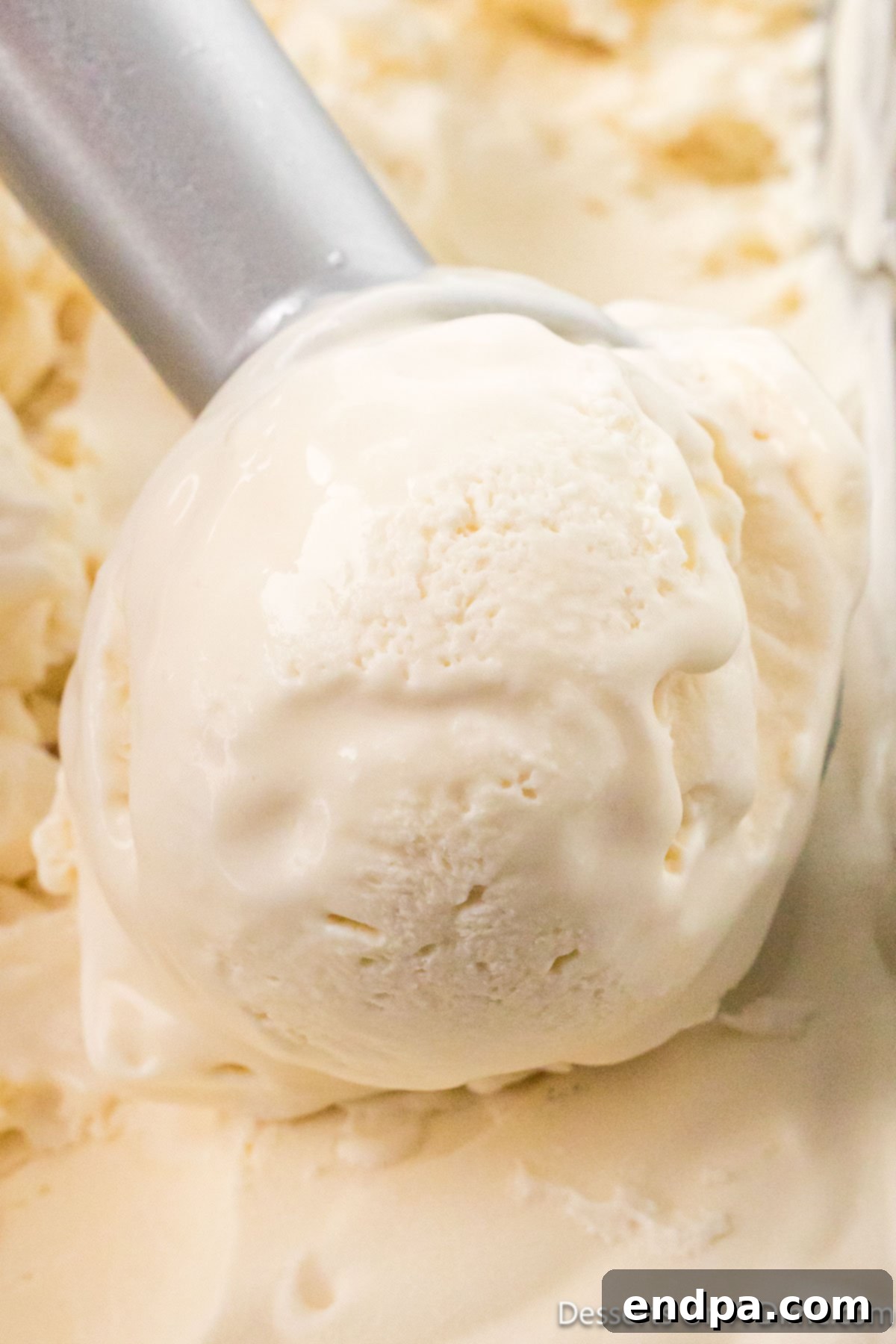 Ice Cream scooped and served. 