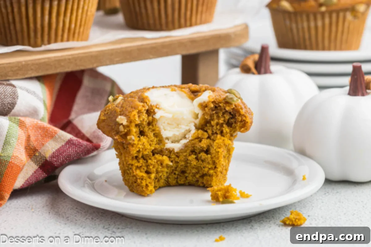 Starbucks-Style Pumpkin Spice Cream Cheese Muffins 2 Starbucks pumpkin cream cheese muffin split in half on a white plate, showcasing the creamy filling.