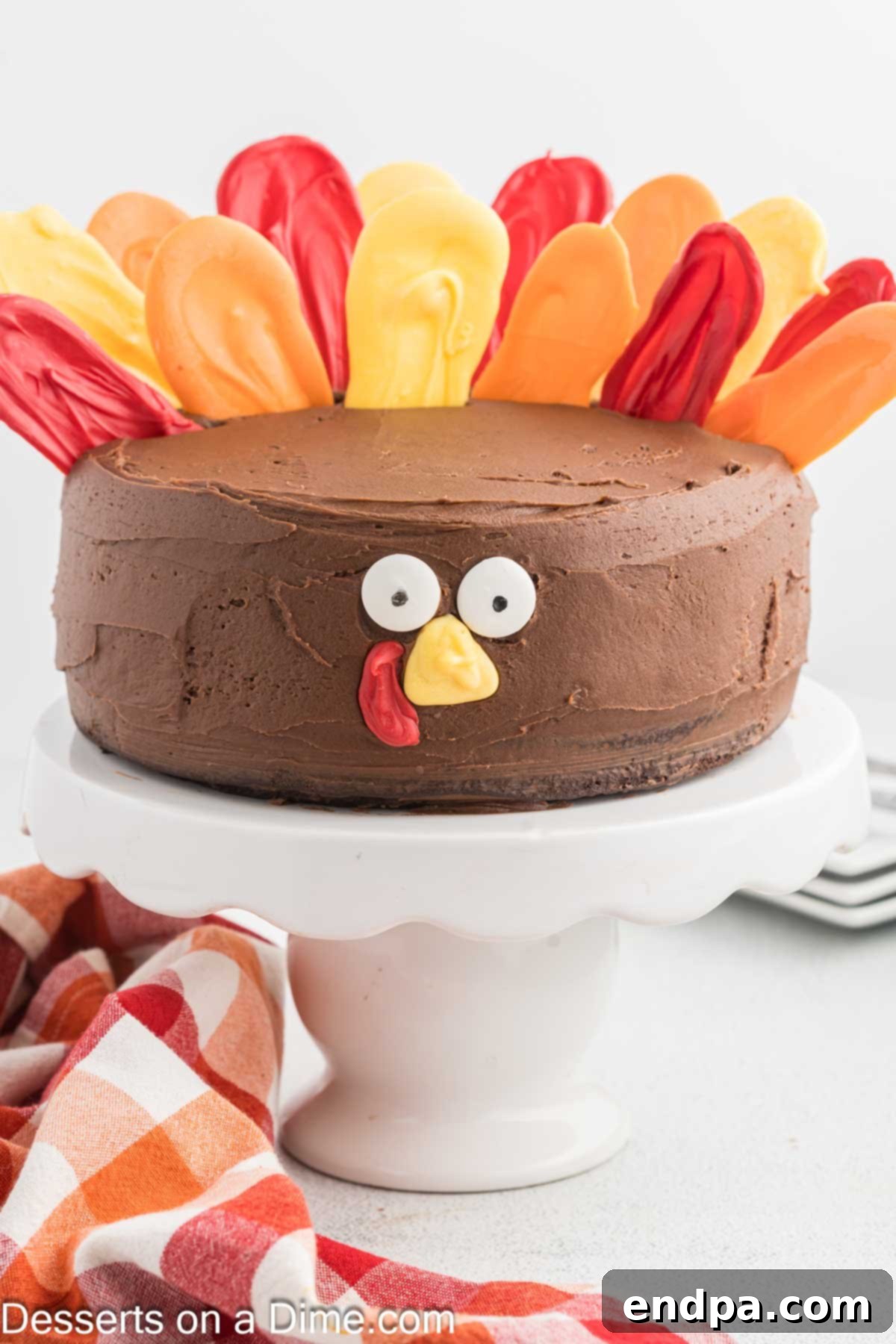 Festive Turkey Cake 12 Candy feathers added to cake.