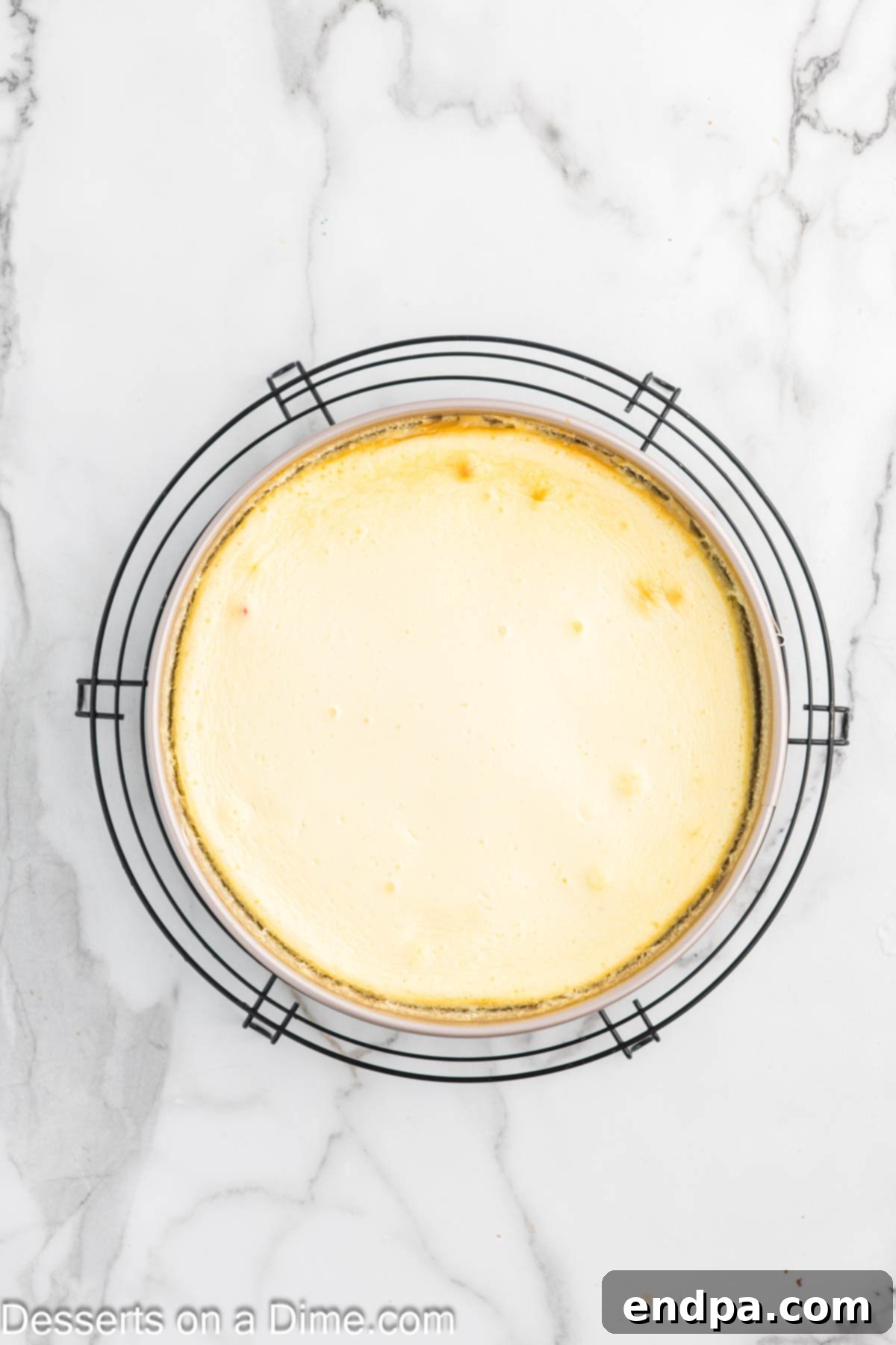 Cheesecake baked and cooling on wire rack. 