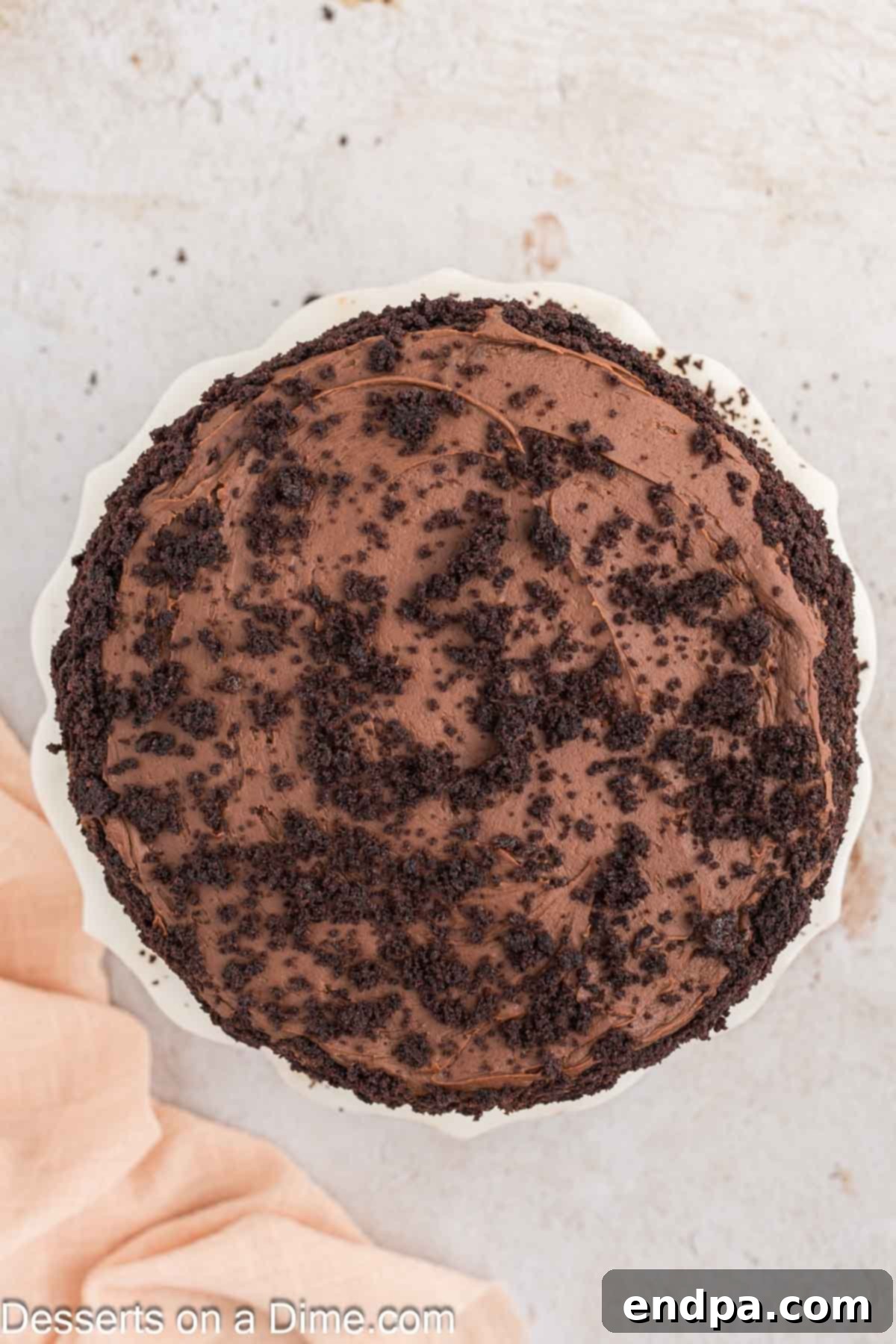 Ultimate Dark Chocolate Decadence 11 The Blackout Cake is finished with a rustic sprinkle of chocolate cake crumbs on top, adding texture and visual appeal.