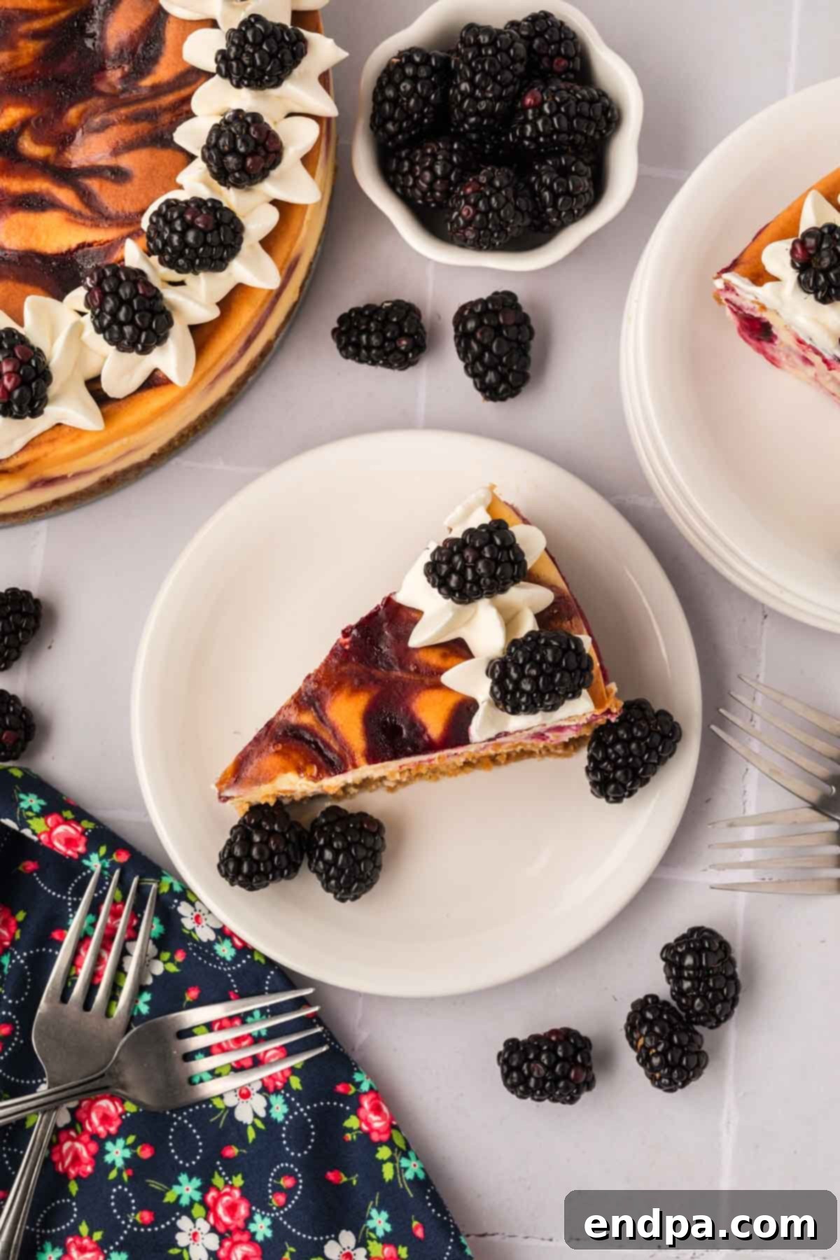 A perfectly sliced piece of Blackberry Cheesecake, showcasing the beautiful purple swirls of blackberry puree, served on a white plate with fresh berries.