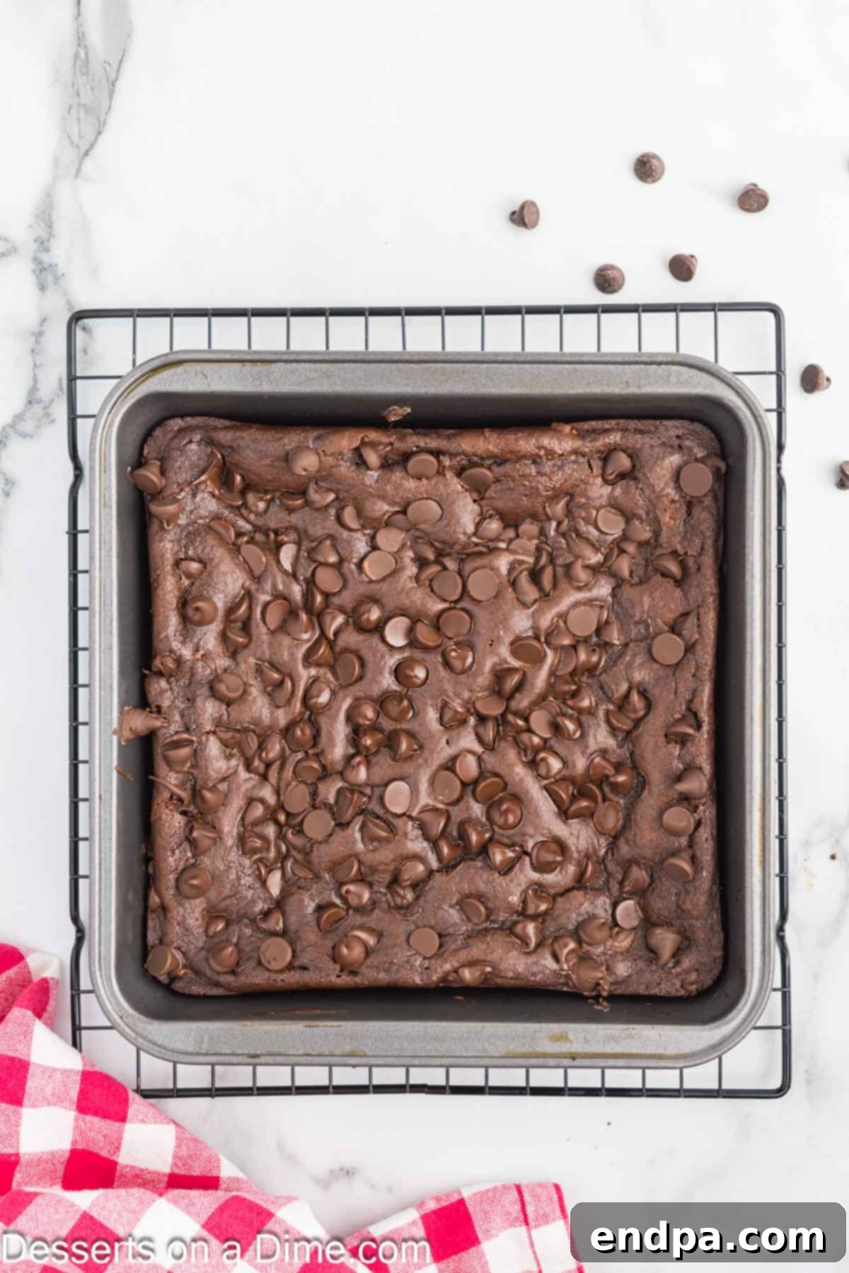 Decadent Cottage Cheese Swirl Brownies 8 Brownies cooling in their pan after baking.