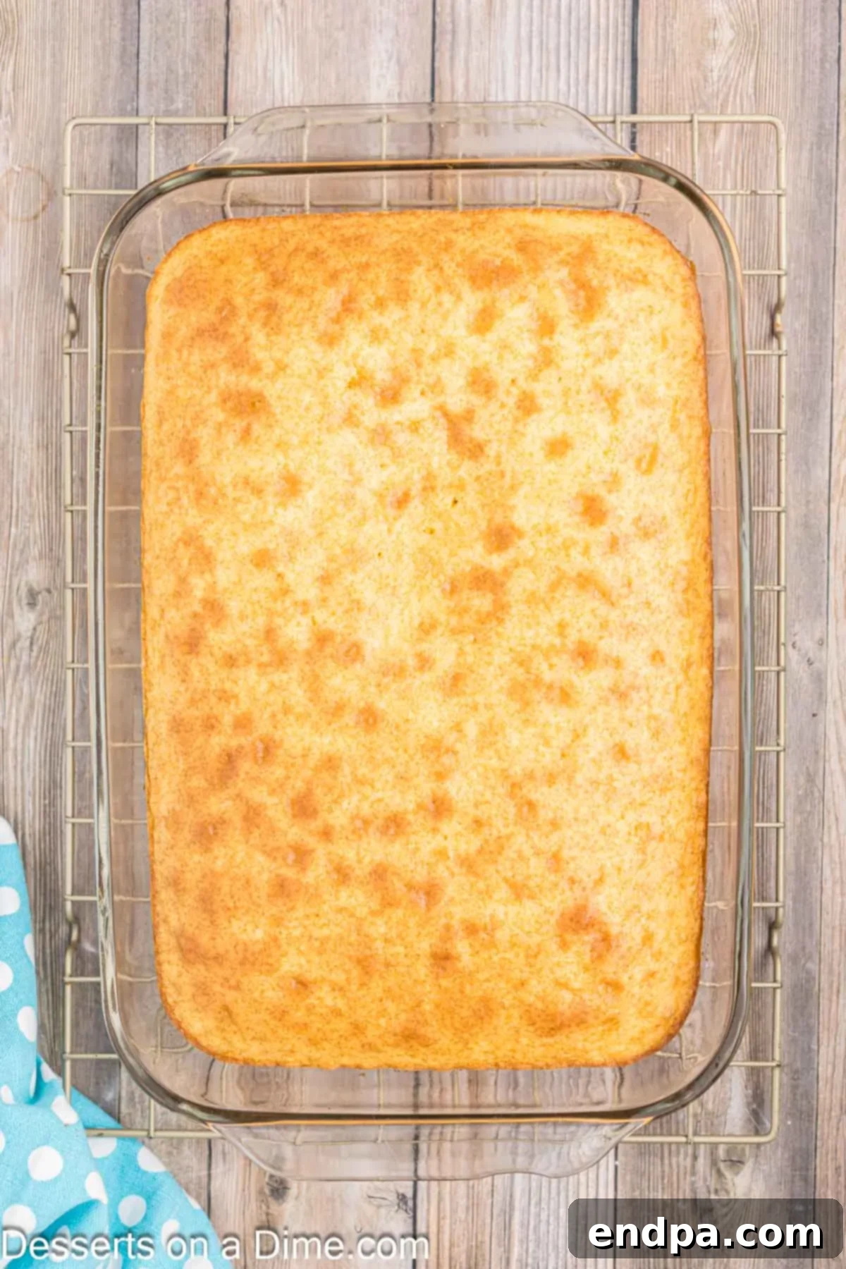 Velvet Orange Dream Cake 6 Freshly baked orange cake cooling in the 9x13 inch pan on a wire rack.