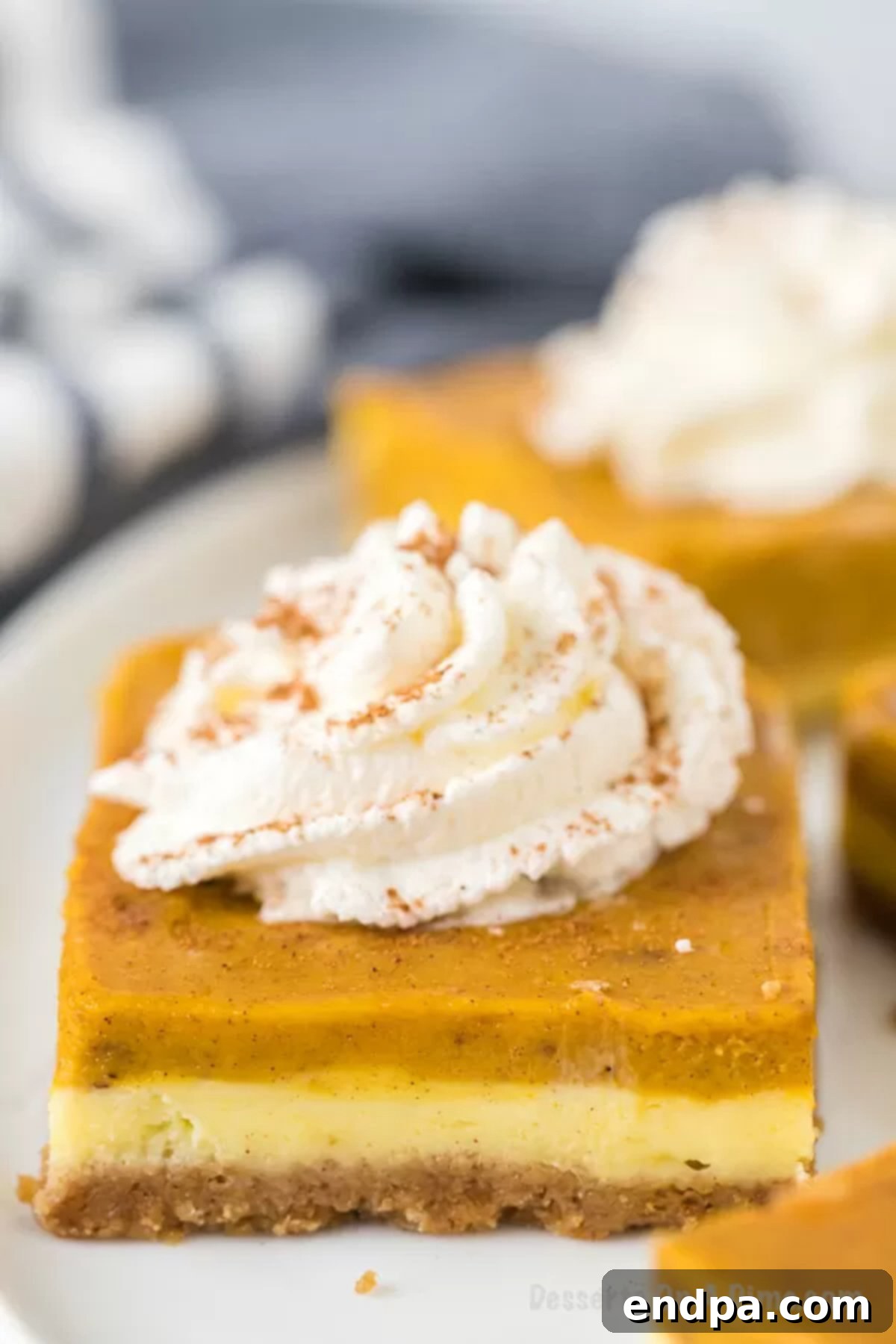Spiced Pumpkin Cheesecake Bars 2 Pumpkin Cheesecake Bars in a white serving plate topped with whipped cream and sprinkled with cinnamon on top.