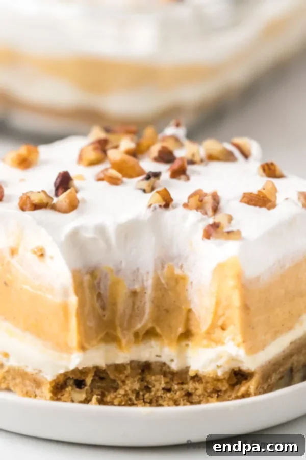 An overhead view of a fully assembled Pumpkin Delight dessert in a baking dish, garnished with whipped topping swirls and chopped pecans, ready to be chilled.