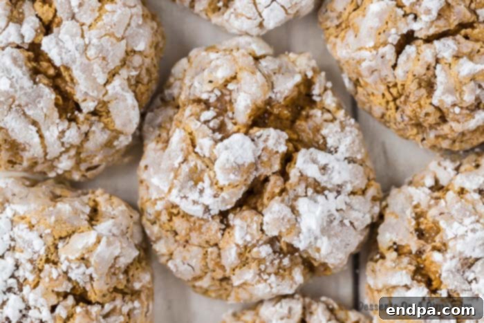 Pumpkin Cake Mix Cookies ready to enjoy.