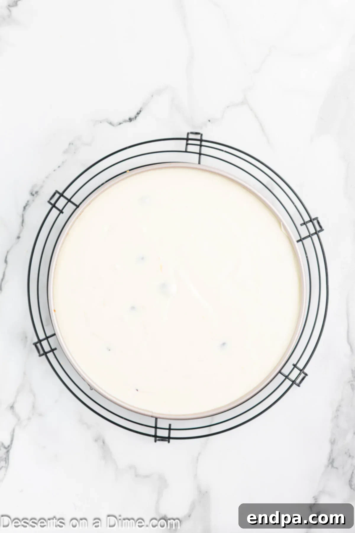 Heavenly Lemon Blueberry Cheesecake 8 A springform pan containing the cheesecake filling and placed in a water bath is ready to be put into the preheated oven for baking.