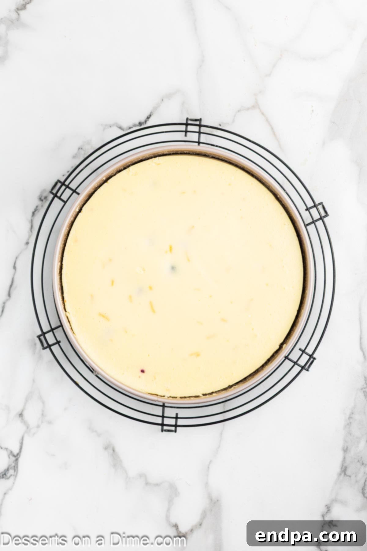 Heavenly Lemon Blueberry Cheesecake 9 A golden-brown Lemon Blueberry Cheesecake is shown cooling gently inside the oven with the door ajar, a crucial step to prevent cracking.