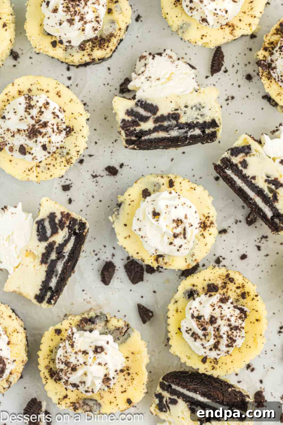 Mini Oreo Cheesecakes garnished and beautifully arranged on a serving plate.