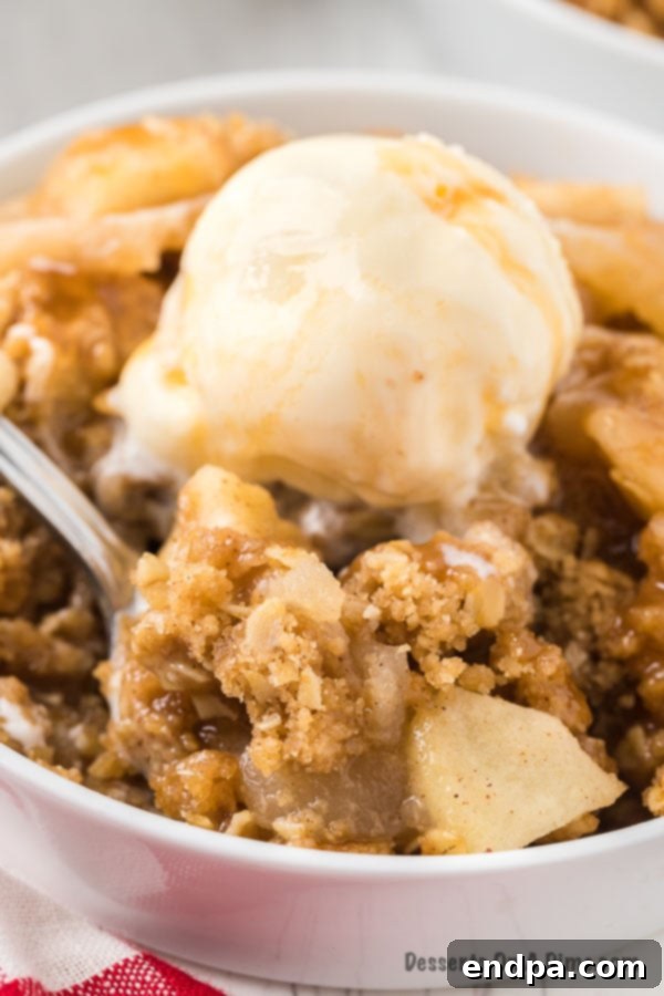 Buttery Oat Apple Crisp 11 A bowl of warm apple crisp topped with a scoop of vanilla ice cream, ready to be enjoyed.