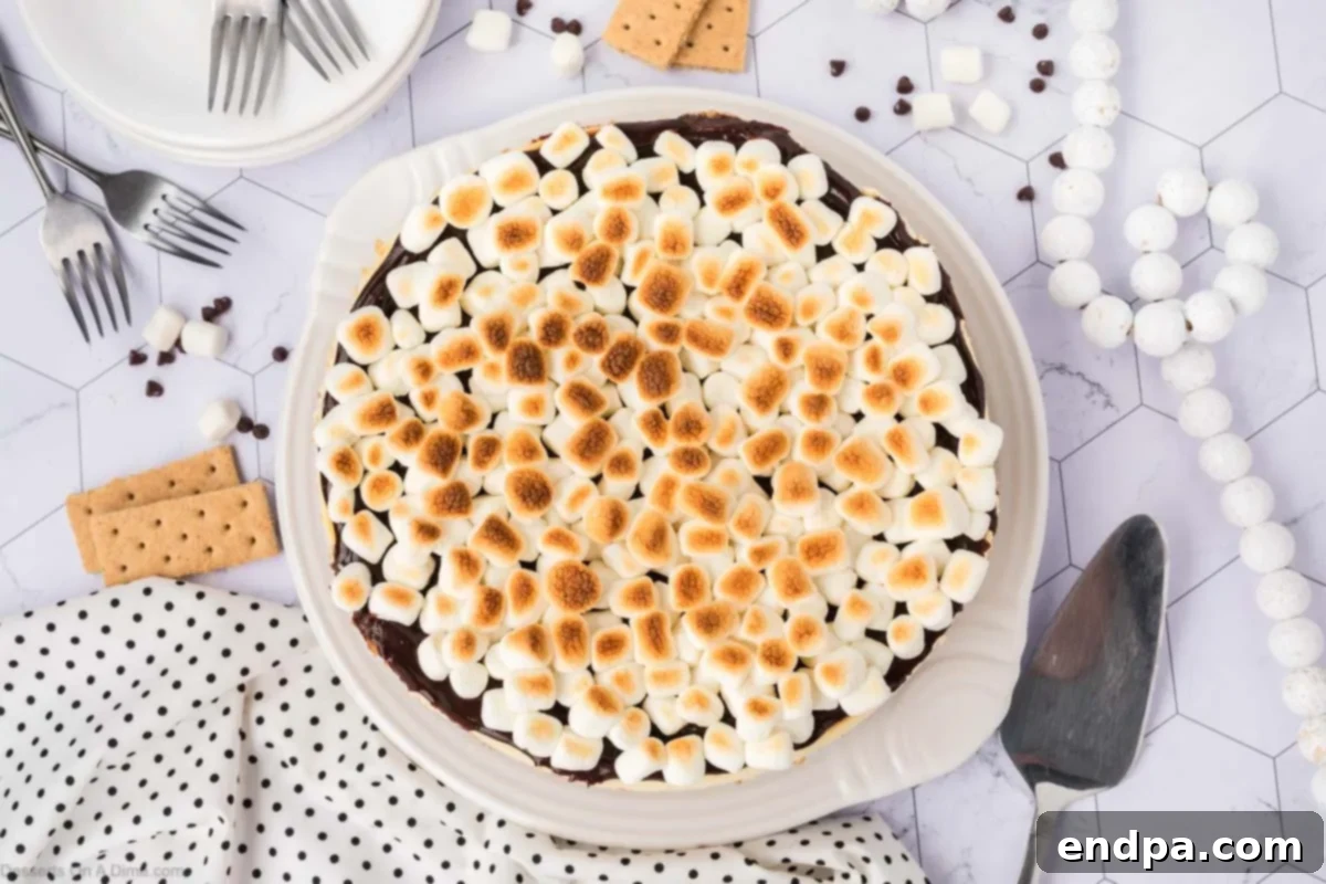 A beautifully sliced S'mores Cheesecake ready to serve, featuring distinct layers of graham cracker crust, rich chocolate cheesecake, and golden-brown toasted marshmallow topping.