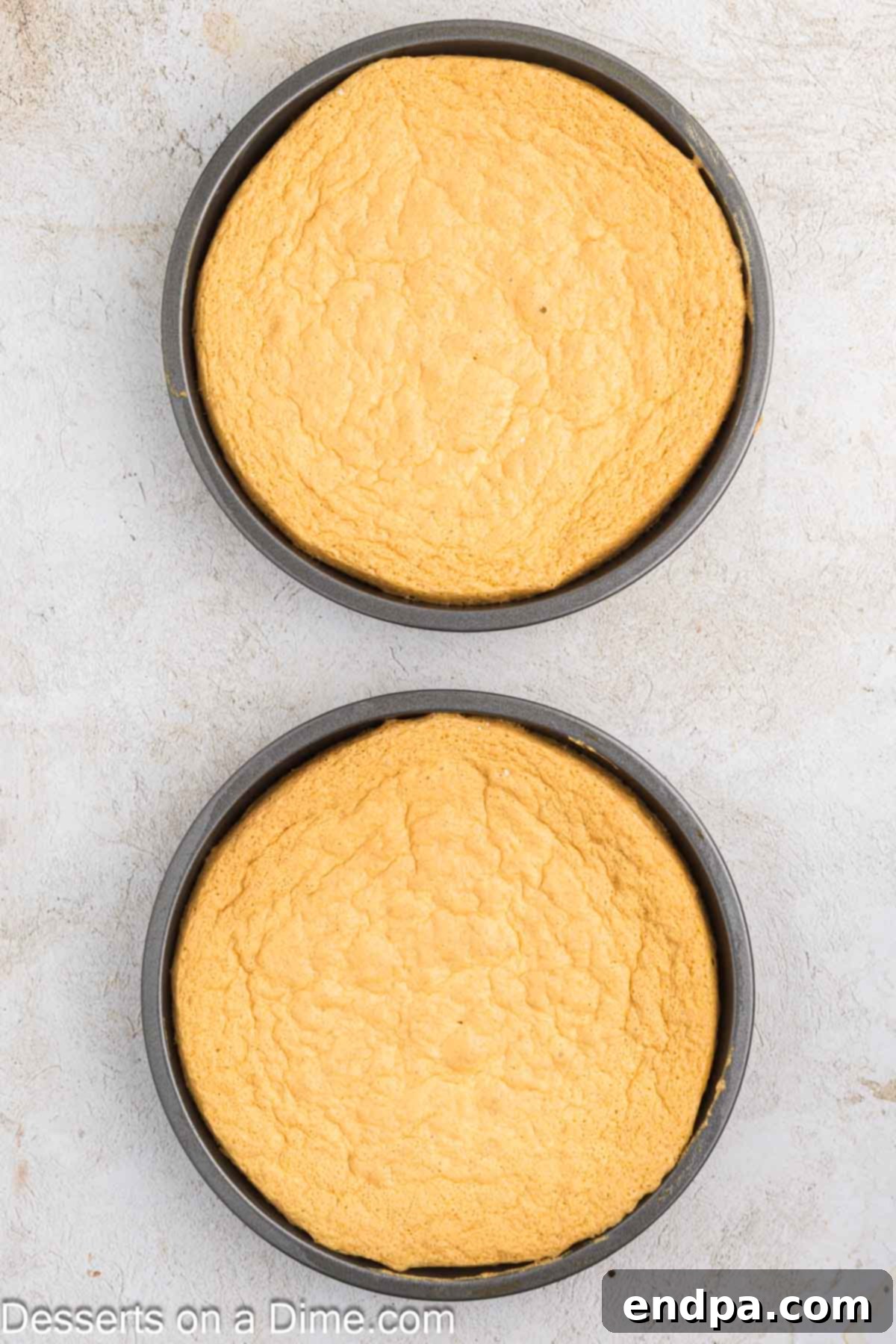 Baked vanilla cake layers cooling completely in their pans on a wire rack.