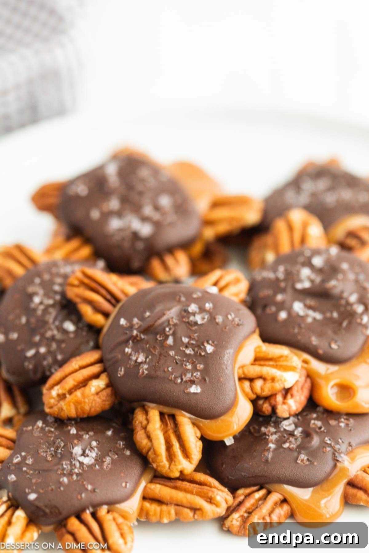 Chocolate Turtles arranged together.