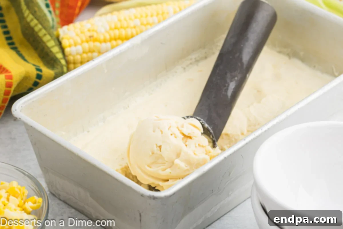 Scooping creamy homemade corn ice cream from a container.
