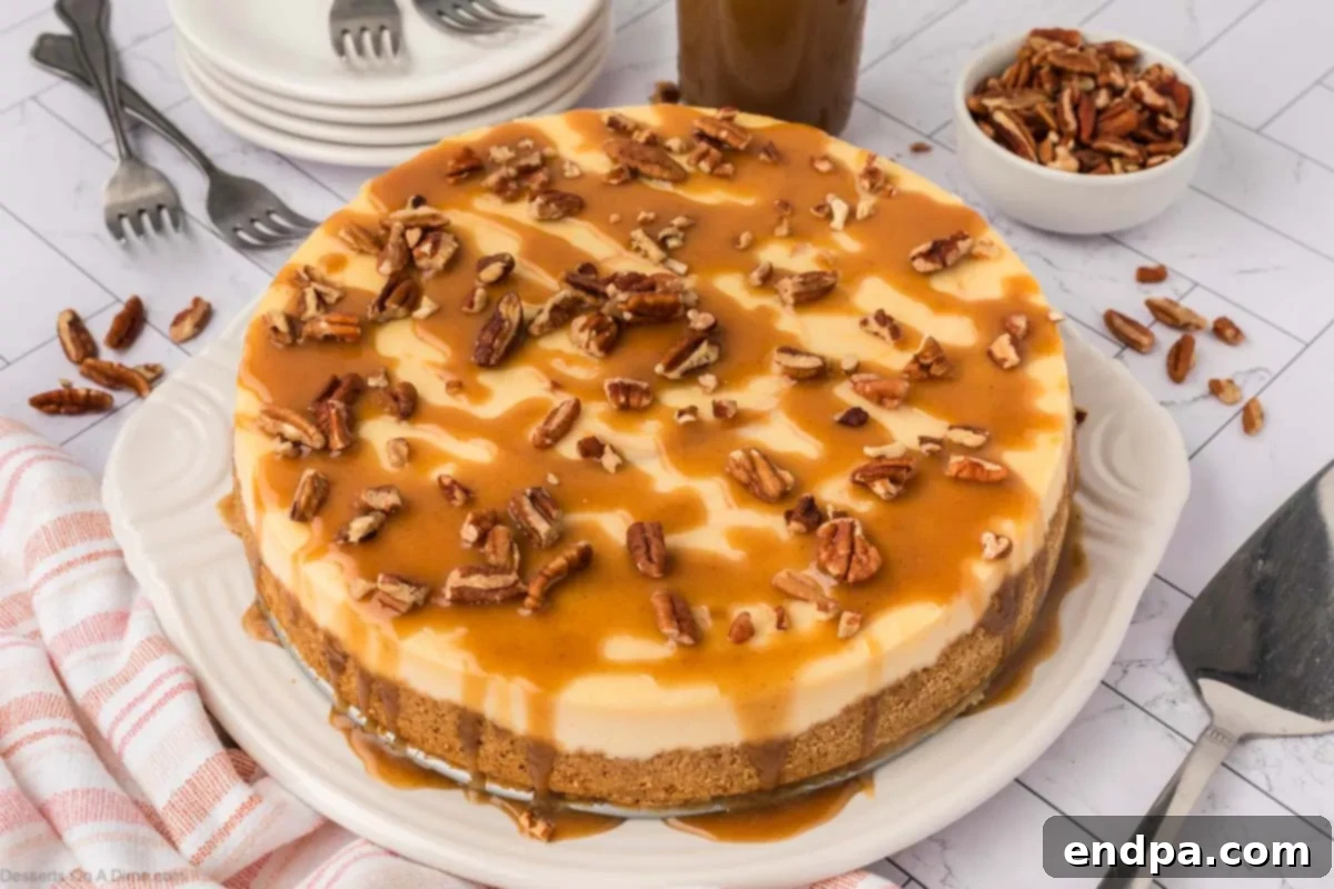 Velvet Sweet Potato Cheesecake 2 Sweet potato cheesecake topped with golden caramel and chopped pecans.
