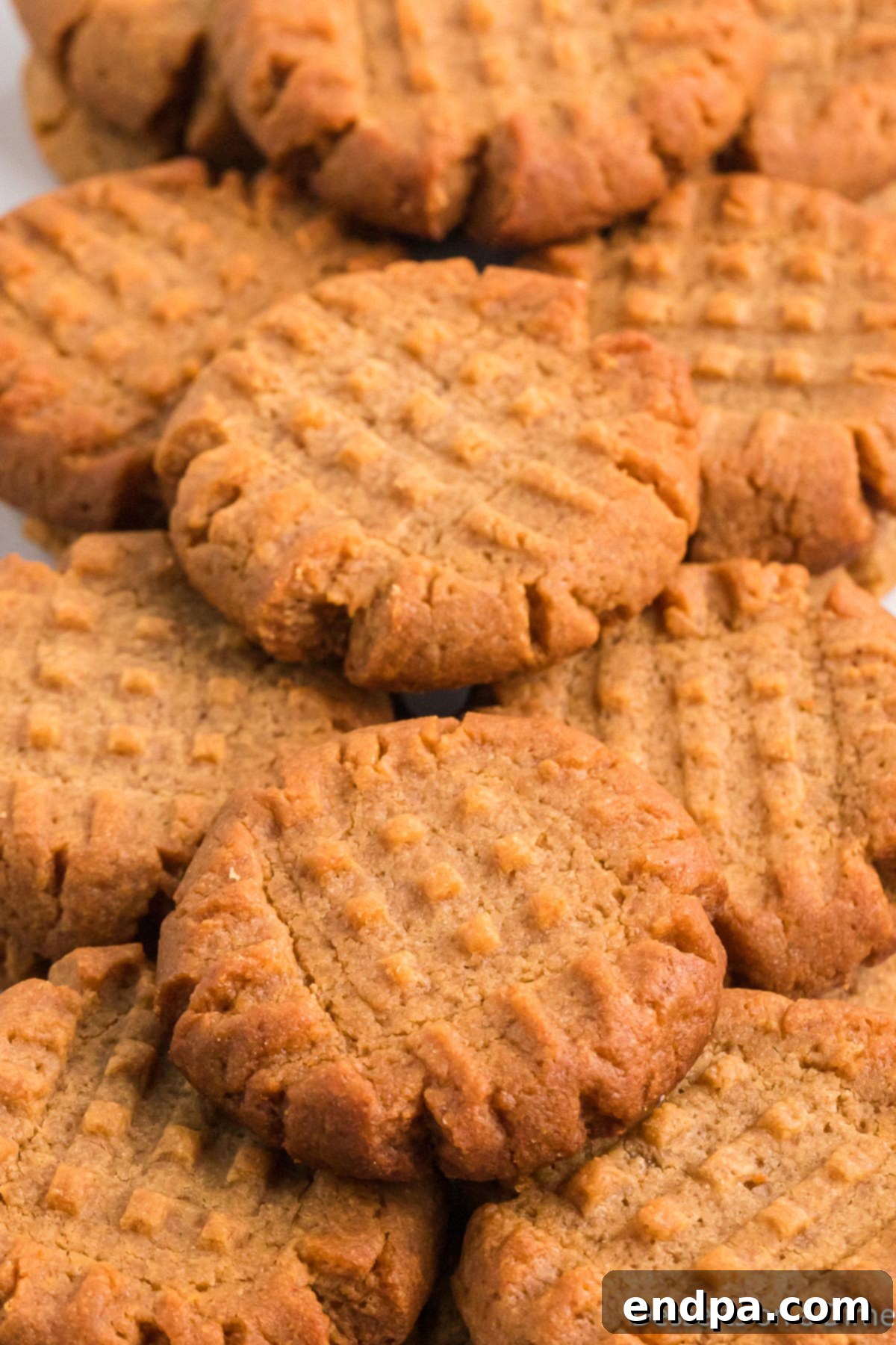 Decadent Keto Peanut Butter Cookies 2 Delicious Keto Peanut Butter Cookies artfully arranged on a platter, ready to be enjoyed.