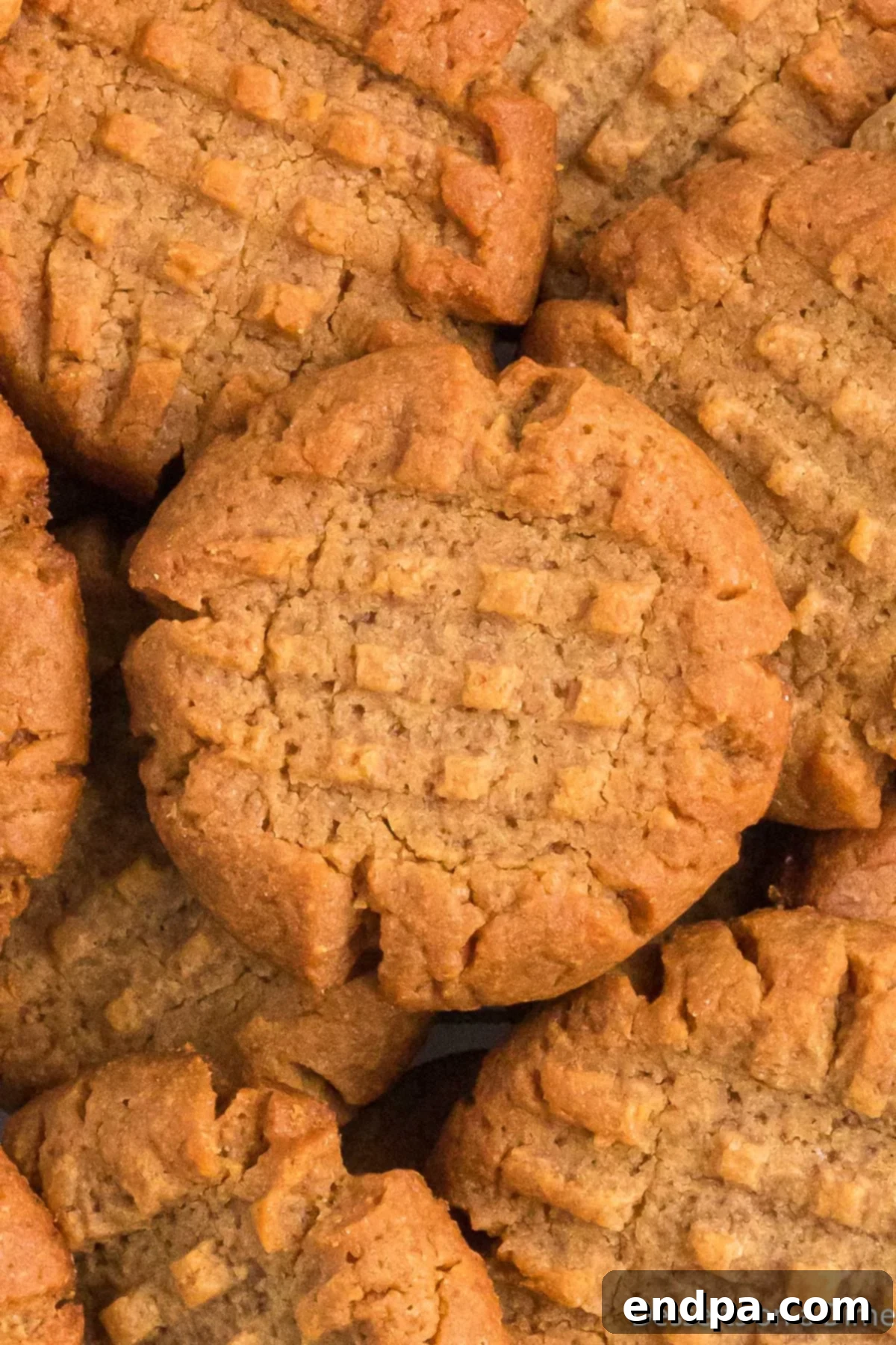 Decadent Keto Peanut Butter Cookies 8 A stunning close-up of freshly baked Keto Peanut Butter Cookies, perfectly golden with classic fork marks, on a serving platter.