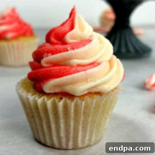 35 Effortless Peppermint Delights 5 Festive Candy Cane Cupcakes with Swirled Frosting