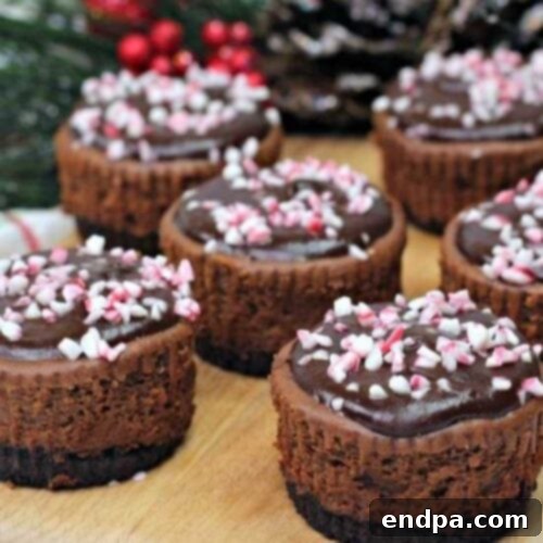 35 Effortless Peppermint Delights 10 Cute Mini Chocolate Peppermint Cheesecakes