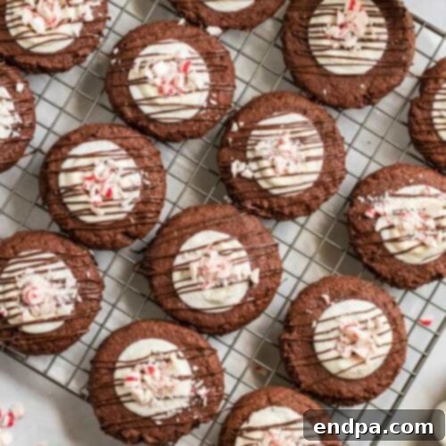 35 Effortless Peppermint Delights 12 S'mores-inspired Chocolate Marshmallow Peppermint Cookies