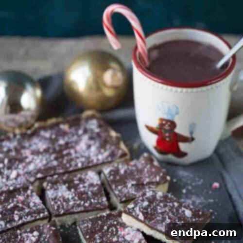 35 Effortless Peppermint Delights 14 Festive Chocolate Peppermint Shortbread