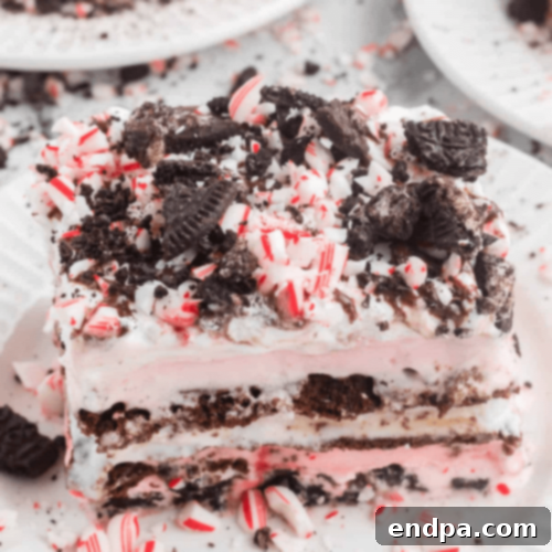35 Effortless Peppermint Delights 19 Layered Christmas Ice Cream Cake