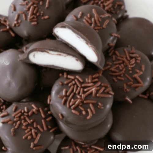 35 Effortless Peppermint Delights 23 Easy Homemade Peppermint Patties