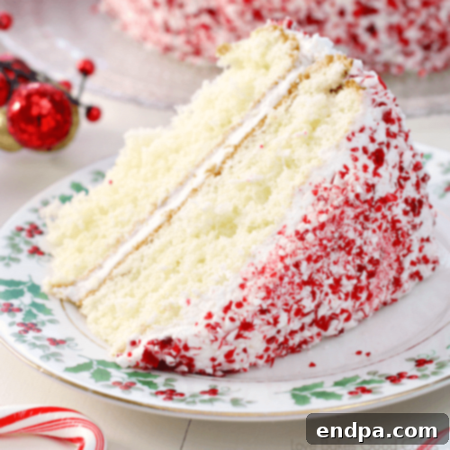 35 Effortless Peppermint Delights 24 Stunning Holiday Peppermint Layer Cake