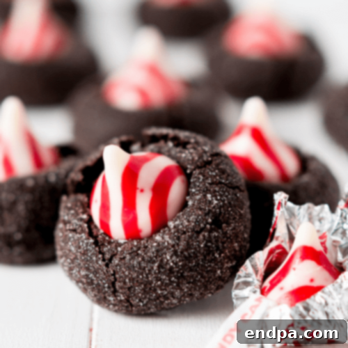 35 Effortless Peppermint Delights 25 Festive Chocolate Peppermint Blossoms