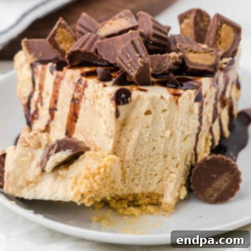 39 Must-Try Pie Recipes 3 A smooth and creamy No-Bake Peanut Butter Pie, garnished with chocolate shavings and peanuts, an absolute favorite.