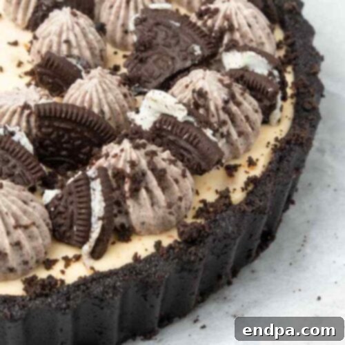 39 Must-Try Pie Recipes 7 A slice of creamy 5-Ingredient No-Bake Peanut Butter Pie with an Oreo crust, garnished with peanut butter cups, a quick and delicious dessert.