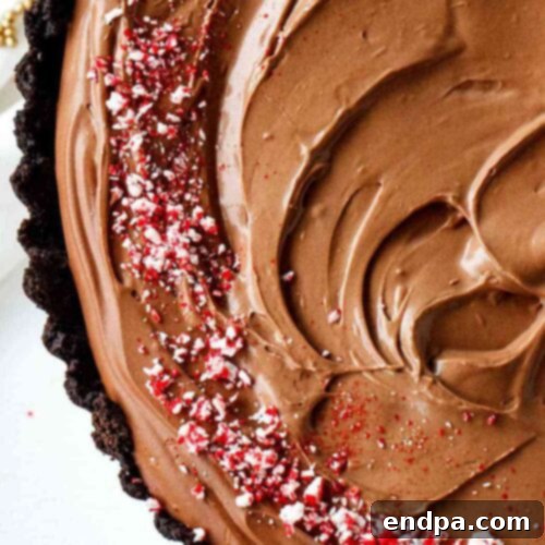 39 Must-Try Pie Recipes 8 A refreshing Chocolate Mint Mousse Pie garnished with crushed peppermint candies and chocolate shavings, smooth and creamy.