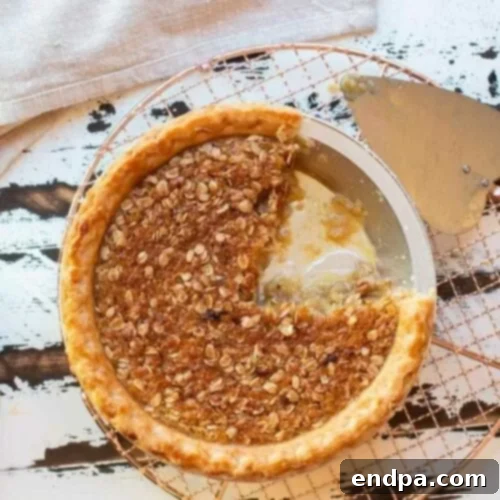 39 Must-Try Pie Recipes 10 A rustic slice of Oatmeal Pie, resembling a pecan pie, with a rich, comforting filling and golden crust, an easy budget-friendly option.